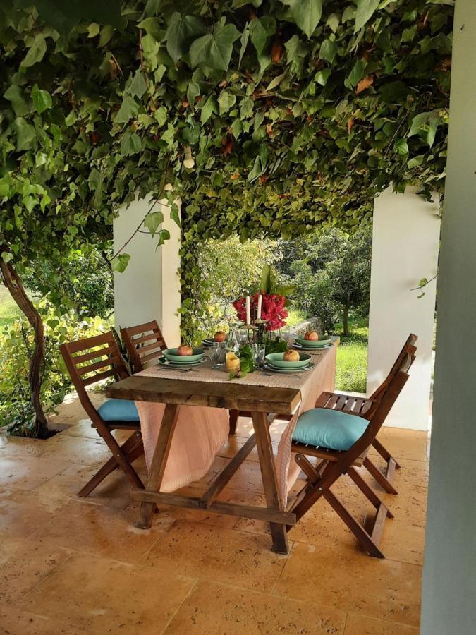 Finca Can Paci ซานตาเอวเลเรียเดสริว ภายนอก รูปภาพ